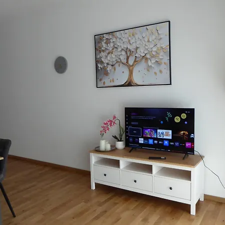Apartment Gemuetliche 2-zimmer Fuer Geschaeftsreisende & Familien
